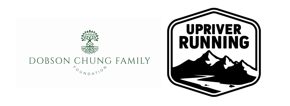 sponsors 6 - gold & silver